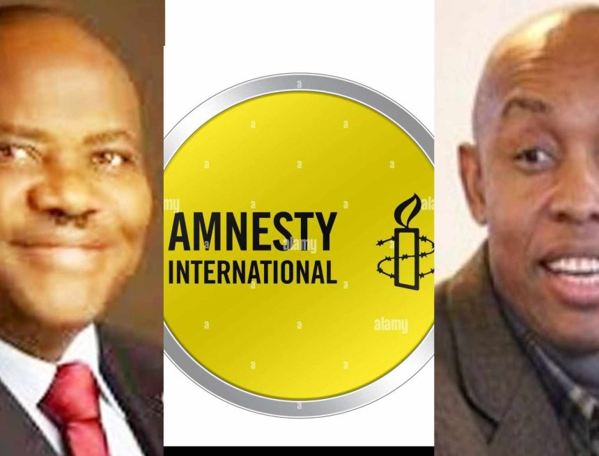 AMNESTY INTERNATIONAL ODINKALU: AMNESTY INT’L ASKS FG TO PROTECT LAWYERS FROM REPRISALS