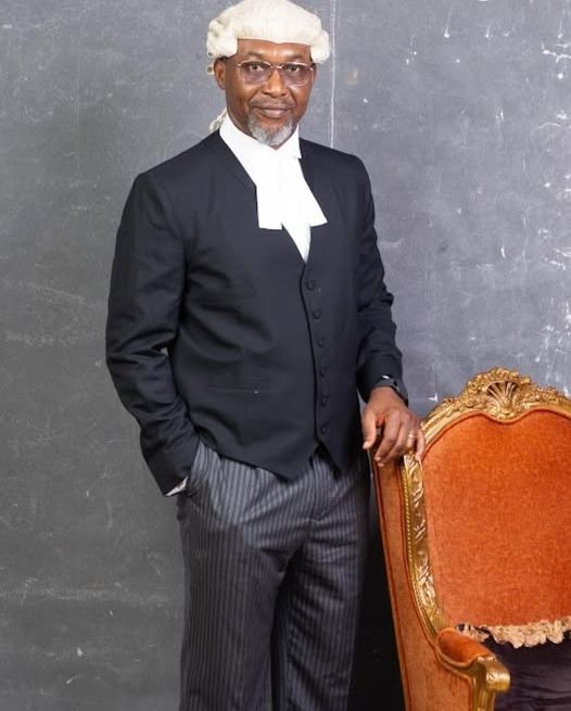 CHIDOKA ‘MY LONG ROAD TO BECOMING A LAWYER,’ BY OSITA CHIDOKA