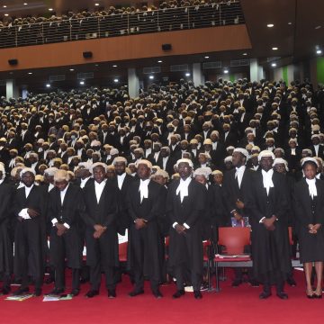 IS THE GROWING NUMBER OF LAWYERS A MAJOR PROBLEM OF THE LEGAL PROFESSION IN NIGERIA? 