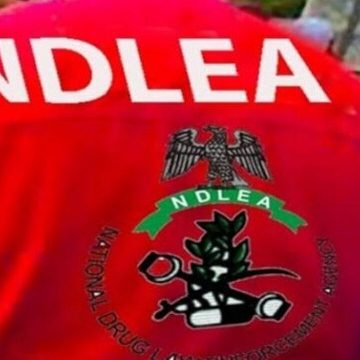 NDLEA NDLEA SUE 2 WOMEN FOR ALLEGED POSSESSION OF COCAINE, HEROIN