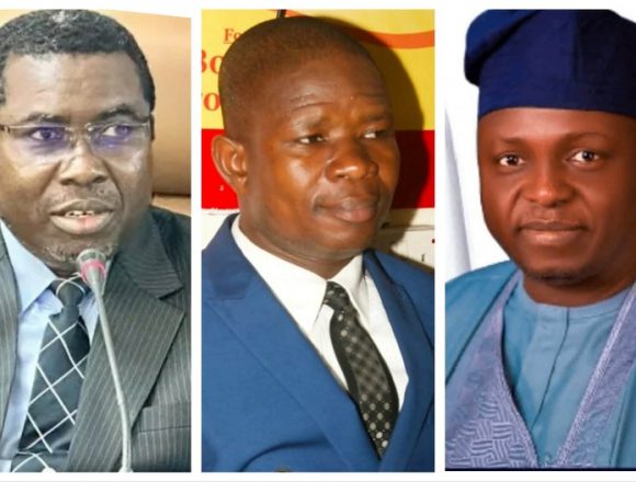 UDEMS VICTORY, LOSS AND LESSONS: REFLECTIONS ON APC PRIMARY ELECTIONS