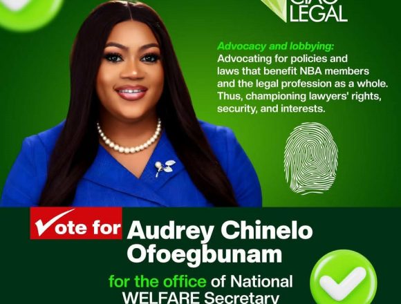 AUDREY-WELFARE2 AUDREY CHINELO OFOEGBUNAM: WELFARE THAT WORKS FOR EVERY LAWYER, IN EVERY SECTOR