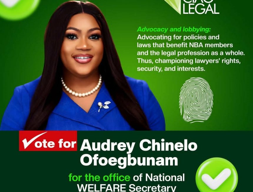 AUDREY CHINELO OFOEGBUNAM: WELFARE THAT WORKS FOR EVERY LAWYER, IN EVERY SECTOR