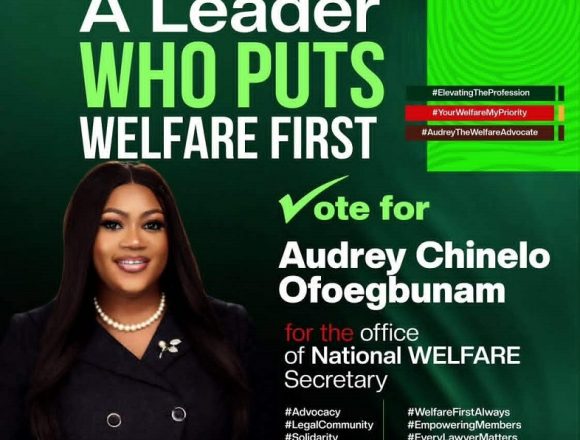 AUDREY CHINELO OFOEGBUNAM: ‘A SNEAK PEEK INTO MY MANIFESTO’