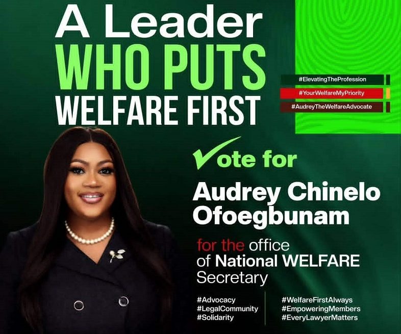 AUDREY CHINELO OFOEGBUNAM: ‘A SNEAK PEEK INTO MY MANIFESTO’